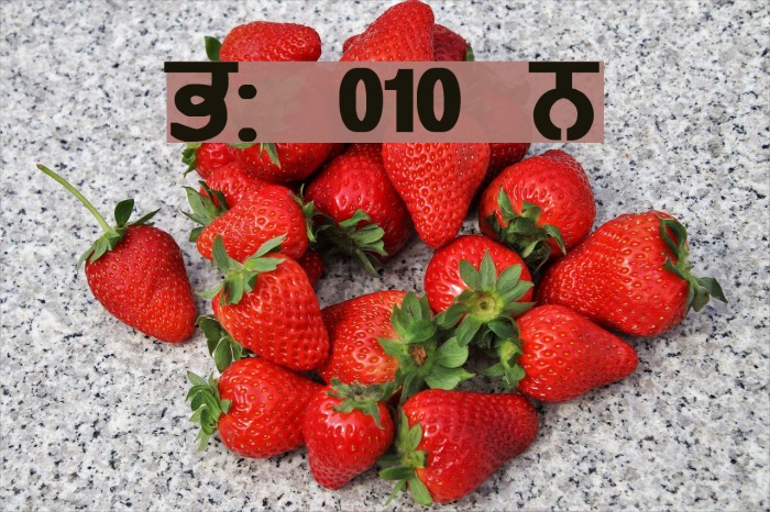 GurmukhiLys 010 Bold Font examples