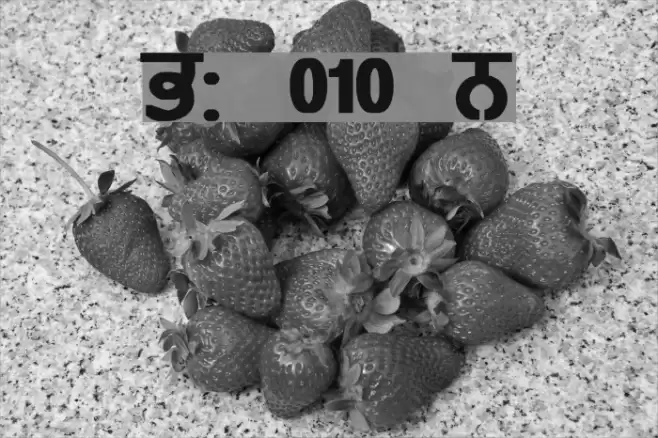 GurmukhiLys 010 Bold Font examples