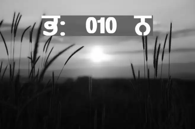 GurmukhiLys 010 Bold Font examples