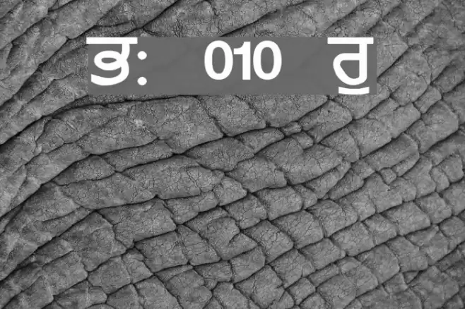 GurmukhiLys 010 Wide Schriftart examples