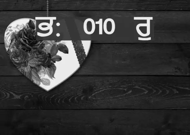 GurmukhiLys 010 Wide Schriftart examples