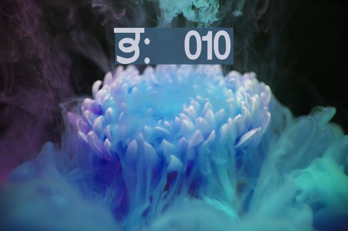 GurmukhiLys 010 Font examples