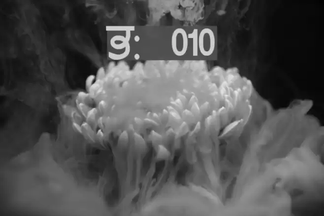 GurmukhiLys 010 Font examples