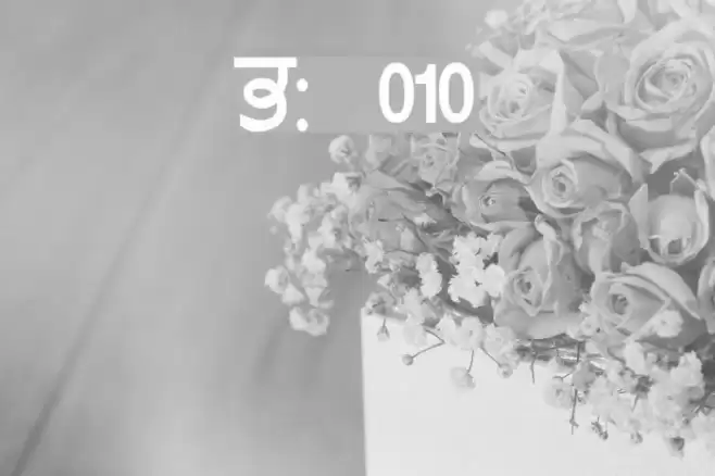 GurmukhiLys 010 Font examples