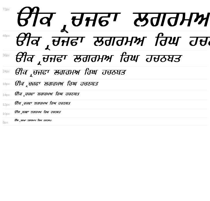 GurmukhiLys 020 Bold Italic Waterfall