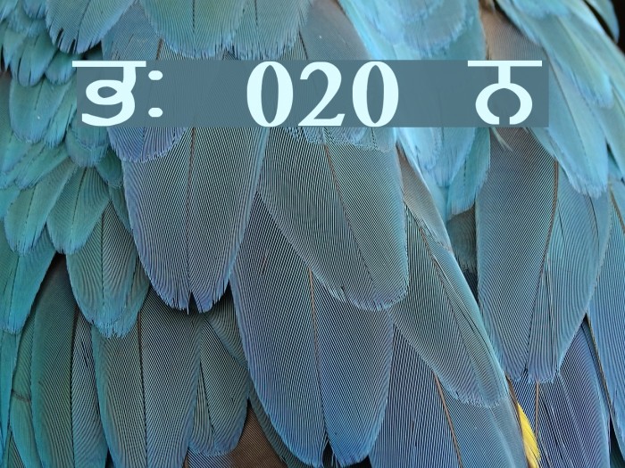 GurmukhiLys 020 Bold Font examples