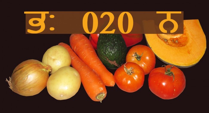GurmukhiLys 020 Bold Font examples