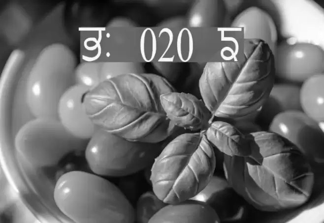 GurmukhiLys 020 Condensed Polices examples