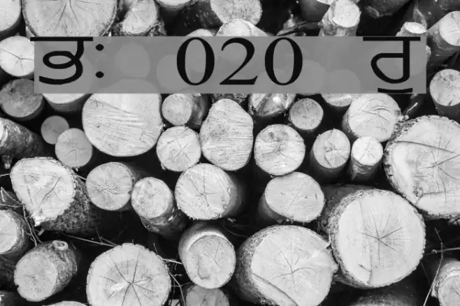 GurmukhiLys 020 Wide Font examples