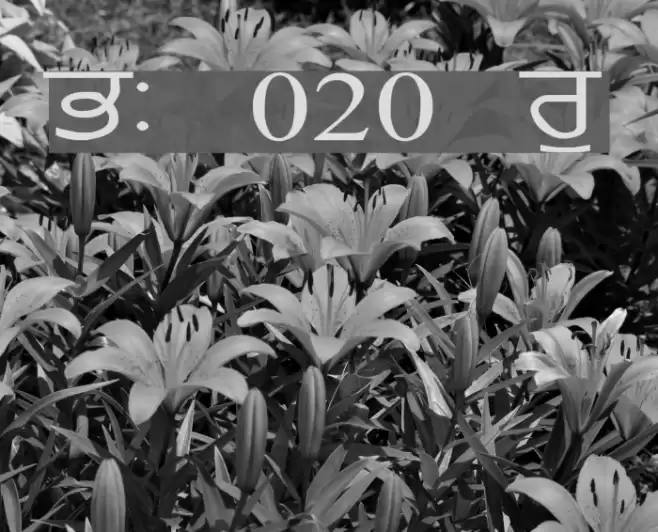 GurmukhiLys 020 Wide Font examples