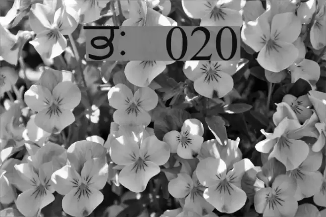 GurmukhiLys 020 Font examples