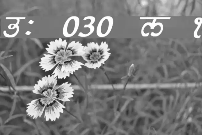 GurmukhiLys 030 Bold Italic Font examples