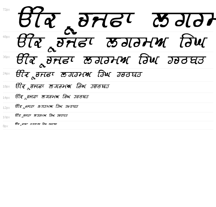 GurmukhiLys 030 Bold Italic Waterfall