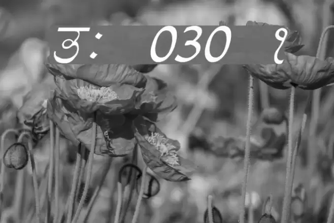 GurmukhiLys 030 Italic Font examples