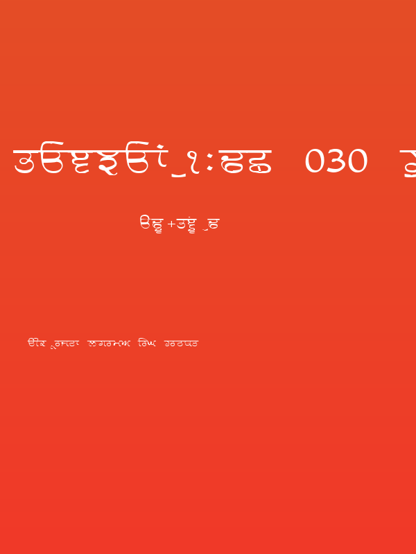 GurmukhiLys 030 Wide Poster