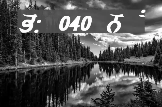 GurmukhiLys 040 Bold Italic Fuentes examples