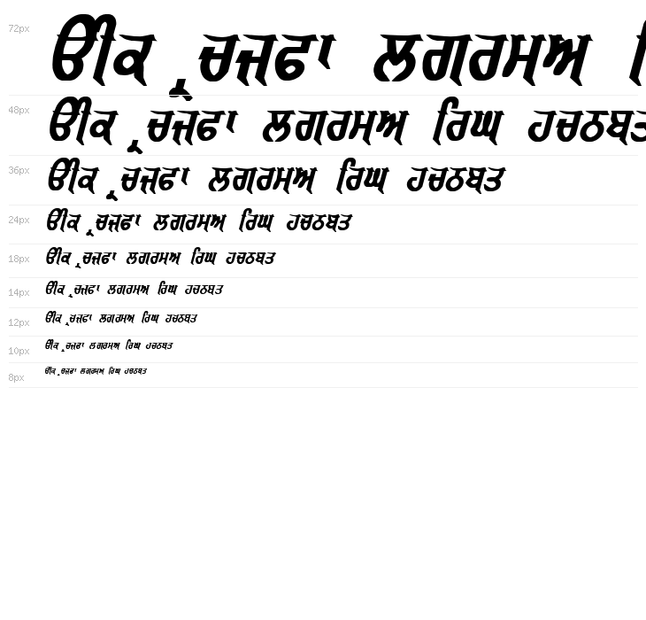 GurmukhiLys 040 Bold Italic Waterfall