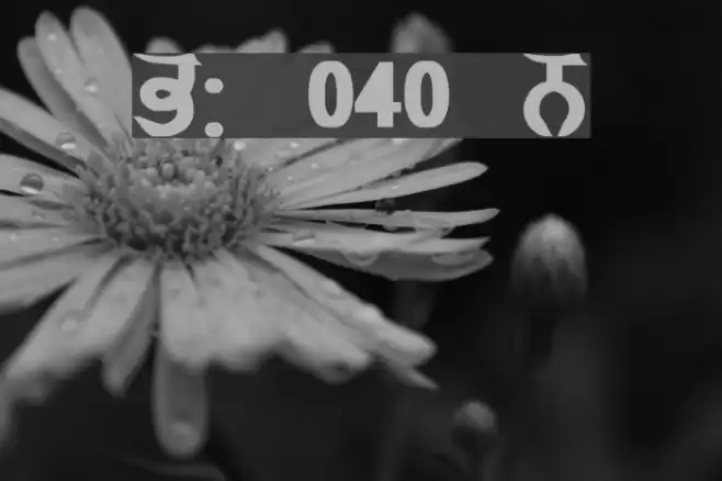 GurmukhiLys 040 Bold Font examples