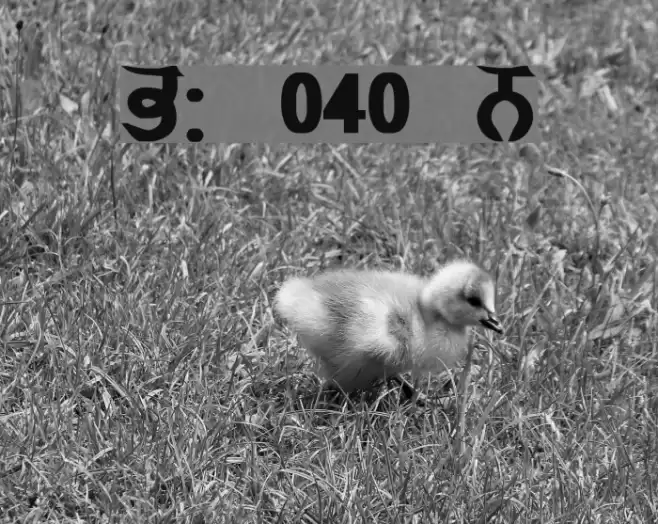 GurmukhiLys 040 Bold Font examples