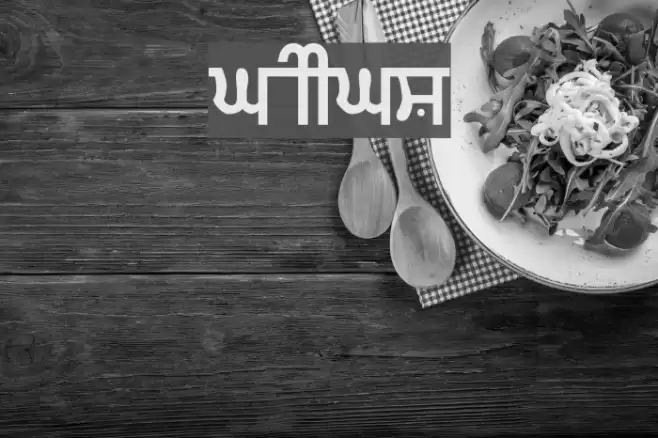 Gurmukhi_IIGS フォント examples