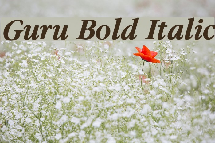 Guru Bold Italic Font examples