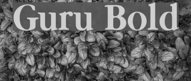 Guru Bold Font examples
