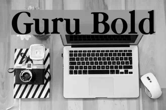 Guru Bold Font examples