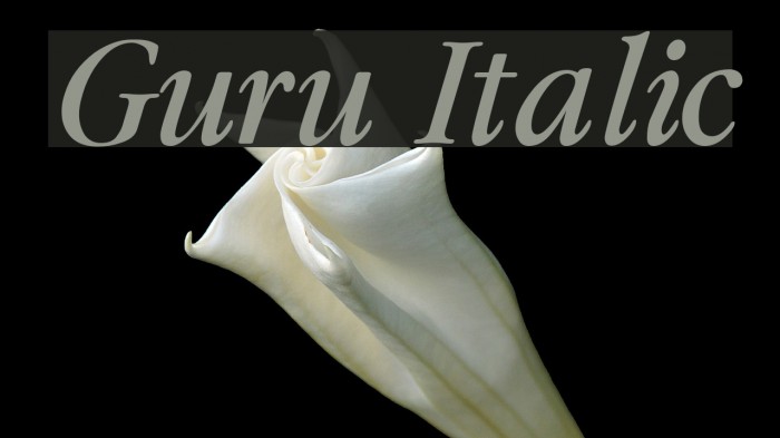 Guru Italic Font examples