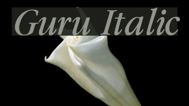 Guru Italic Example 2