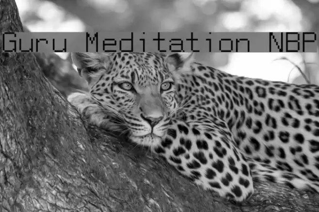 Guru Meditation NBP Font examples