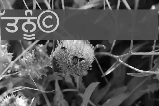 Gurulipi3 फ़ॉन्ट examples