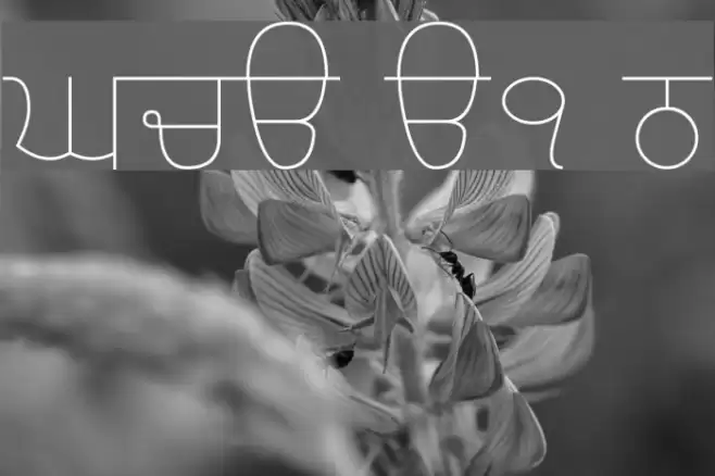 Gurvetica a1 Thin Schriftart examples
