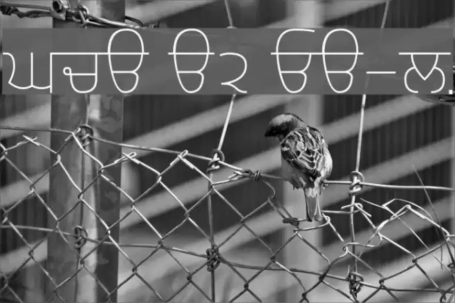 Gurvetica a2 Extra-Light フォント examples