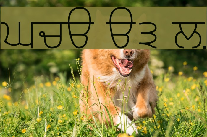 Gurvetica a3 Light Font examples