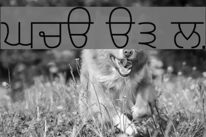 Gurvetica a3 Light Font examples