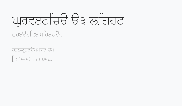 Gurvetica a3 Light Business Card