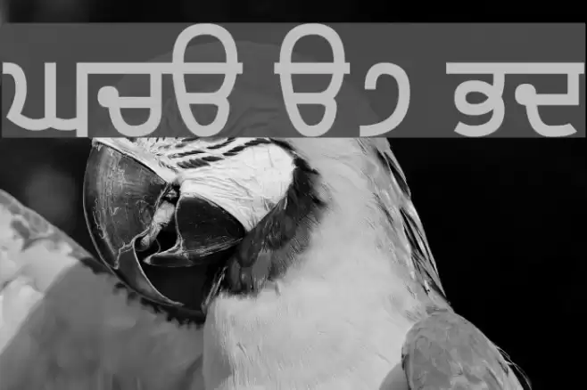 Gurvetica a7 Bold Font examples