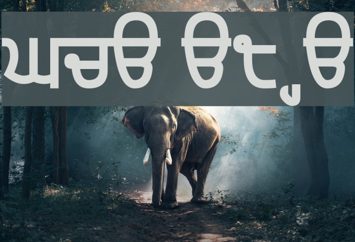 Gurvetica a8 Heavy Font examples
