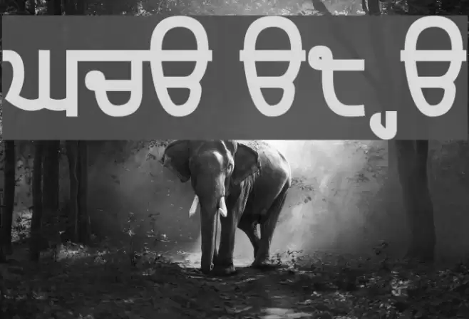 Gurvetica a8 Heavy Font examples