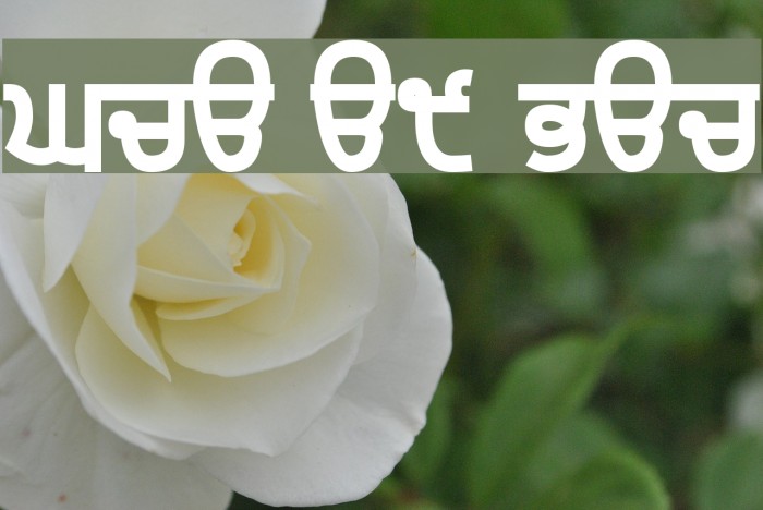 Gurvetica a9 Black Font examples