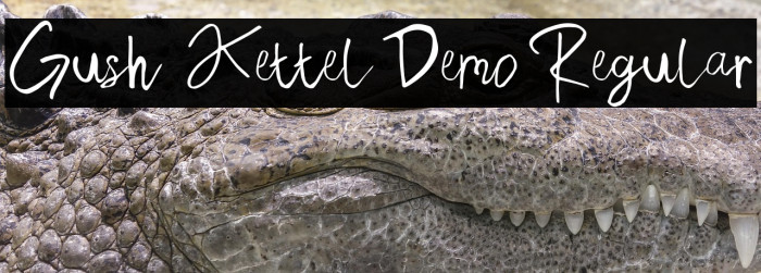 Gush Kettel Demo Regular Example 1