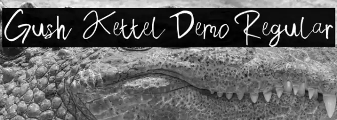 Gush Kettel Demo Regular Font examples