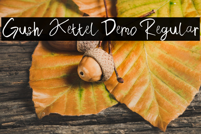 Gush Kettel Demo Regular Example 3