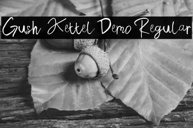 Gush Kettel Demo Regular Font examples