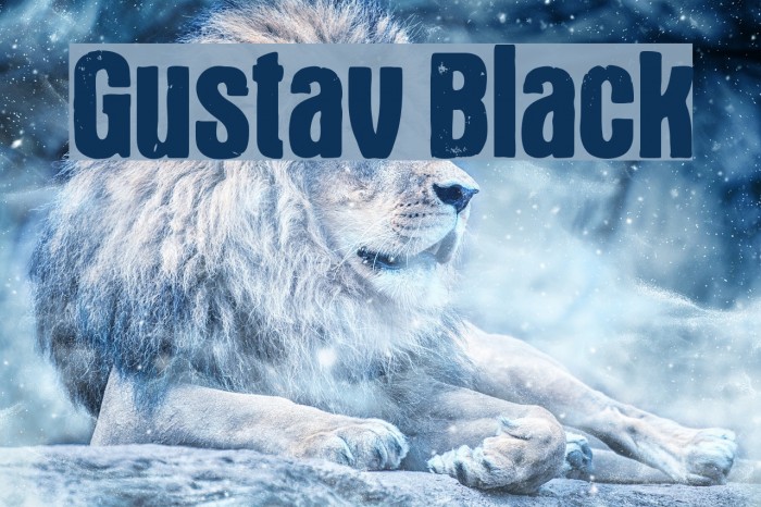 Gustav Black Font examples