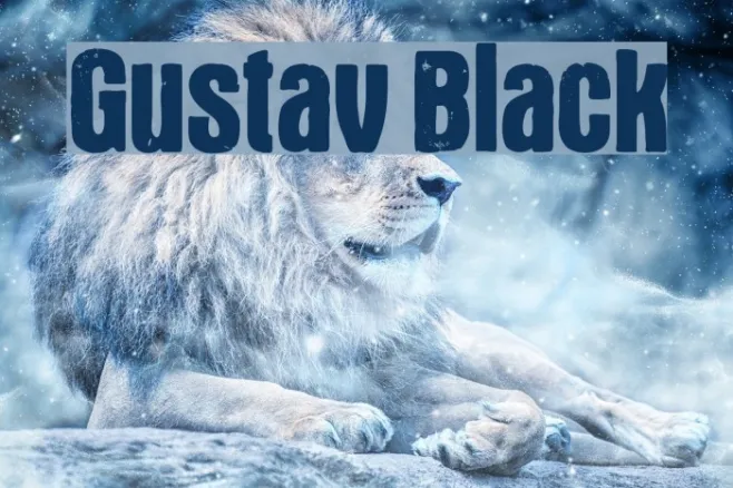 Gustav Black Example 3