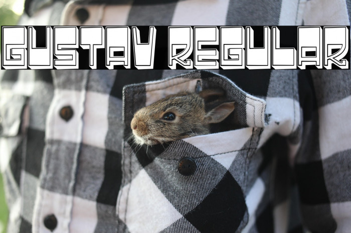 Gustav Regular Example 3
