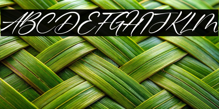 Gustavo Eastwood Example 3