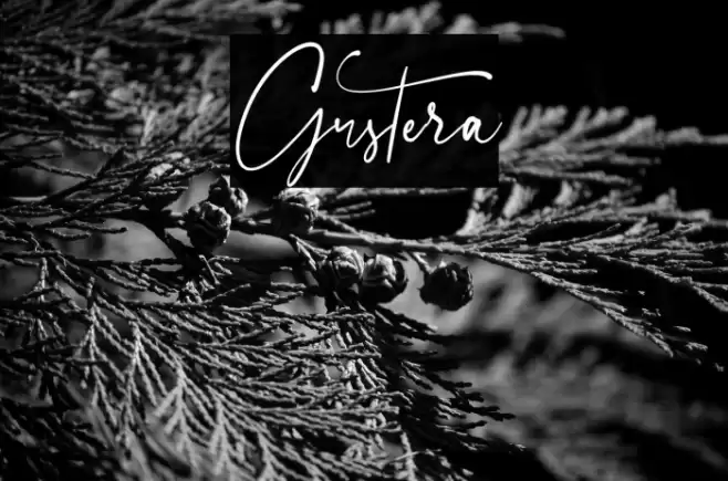 Gustera Font examples