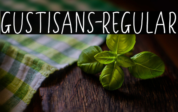 Gustisans-Regular Example 3